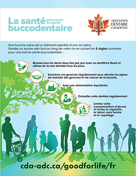 plan de pr&eacute;vention en cinq &eacute;tapes